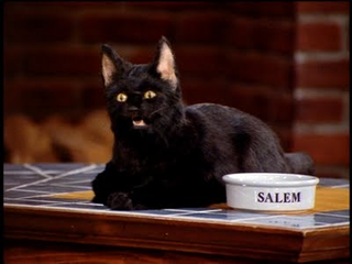 Illustration for article titled Poll: Who Is Your Favorite Famous Feline?
